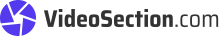 Videosection